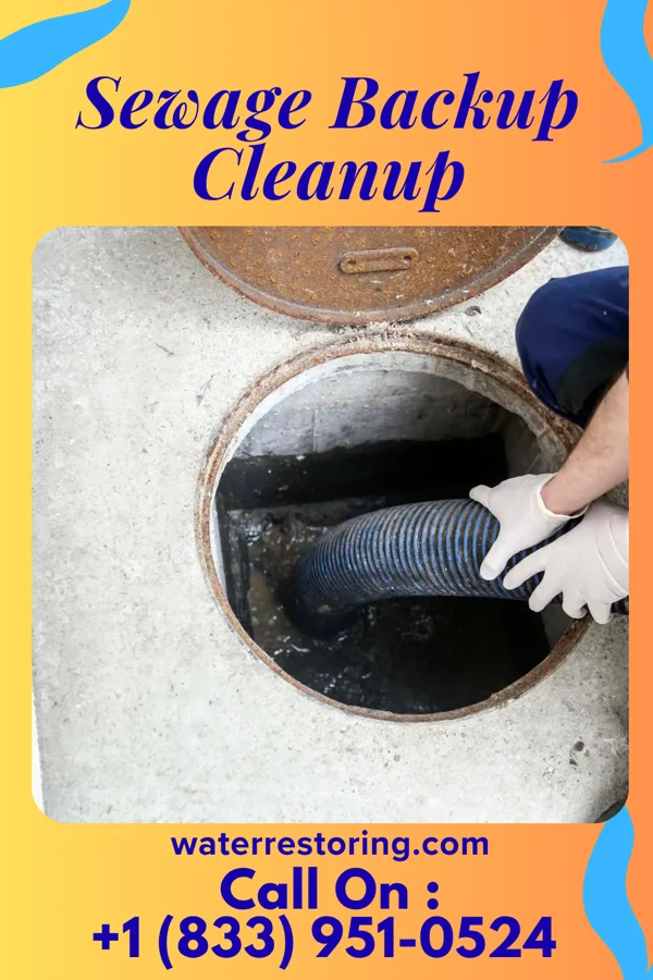Sewage Backup Cleanup in Ludington, MI