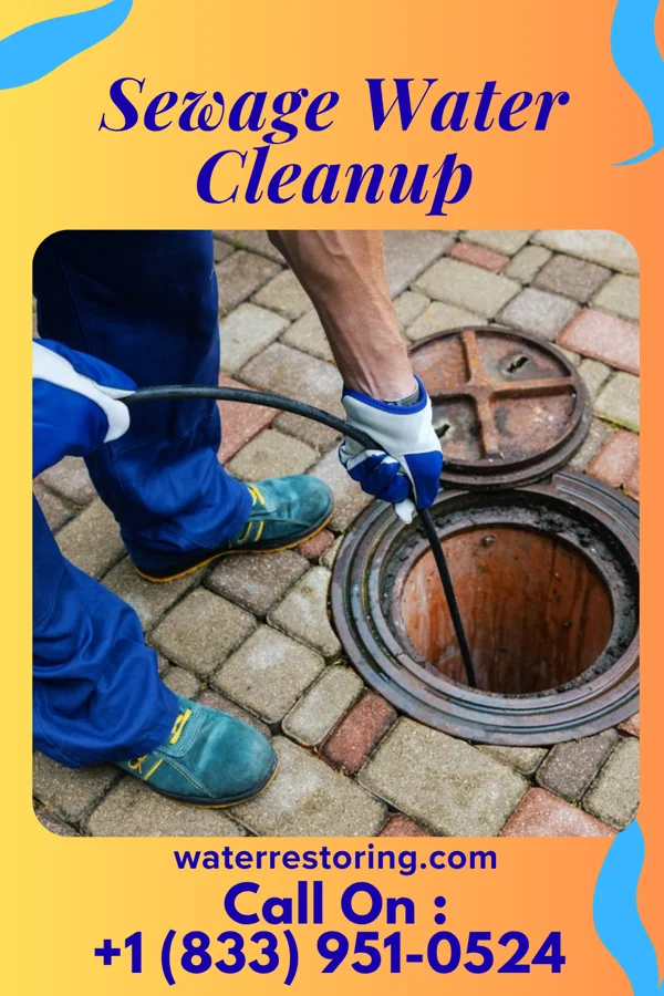 Sewage Water Cleanup in Ludington, MI
